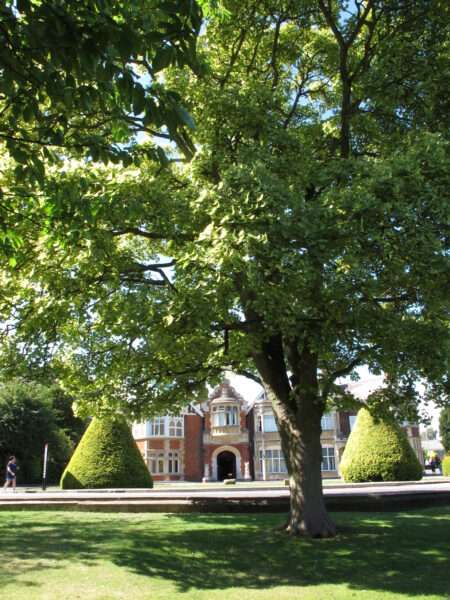 The mansion