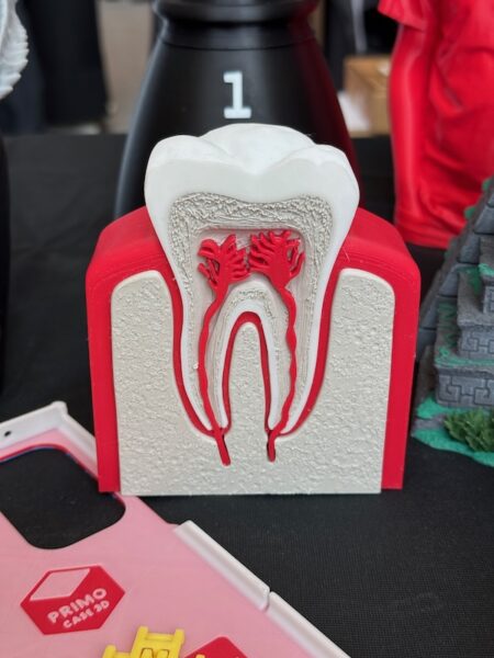 SMRRF 2026 - Hmm, teeth