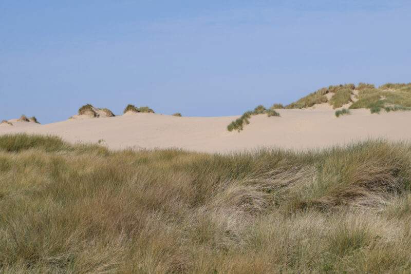 Shell Island - Sand dunes